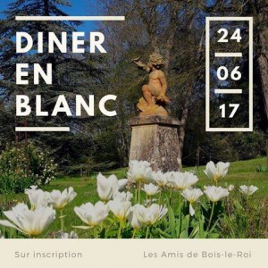 post FB diner en blanc 2017