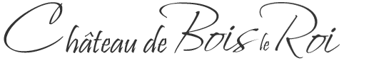 Location de salle de réception en Bourgogne - Château de Bois le Roi : Location de salles pour mariage, réception, séminaire ou événementiel d’entreprise